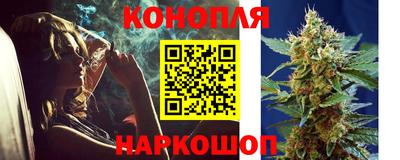 шишки Краснознаменск