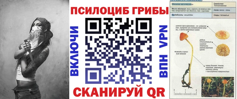 Галлюциногенные грибы прущие грибы  мега зеркало  Петрозаводск  купить закладку 
