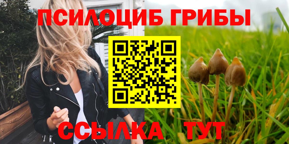 Галлюциногенные грибы мицелий  Вход с VPN  Петрозаводск  Галлюциногенные грибы Cubensis 