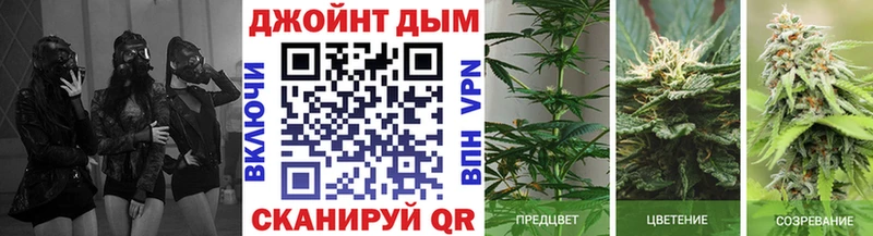 продажа наркотиков  Петрозаводск  blacksprut   Марихуана планчик 